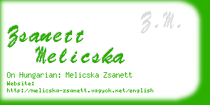 zsanett melicska business card